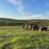 Morala Lodge - Natural landscape