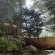 Tranquility - Natural landscape