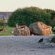 Langebaan Country Estate - Natural landscape