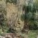 Serenity Place B&B, Conference & Wedding Venue - 266502