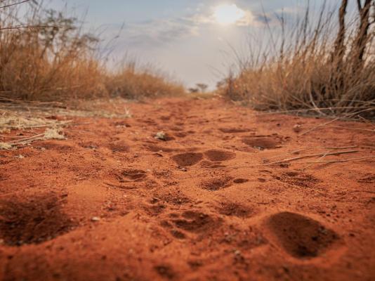 Eningu Kalahari Lodge - 266713