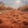 Eningu Kalahari Lodge - 266713