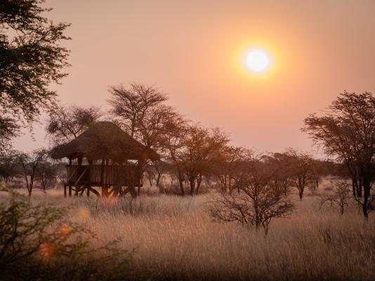 Eningu Kalahari Lodge - 266720
