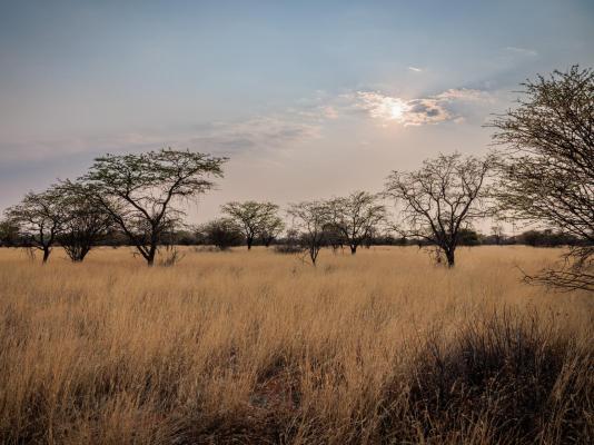 Eningu Kalahari Lodge - 266726