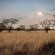 Eningu Kalahari Lodge - 266726