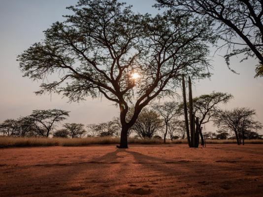 Eningu Kalahari Lodge - 266737