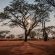 Eningu Kalahari Lodge - 266737