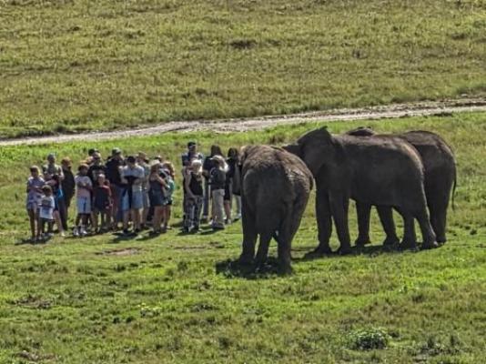 Elephant View Homestead - Neighbourhood