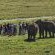 Elephant View Homestead - Neighbourhood