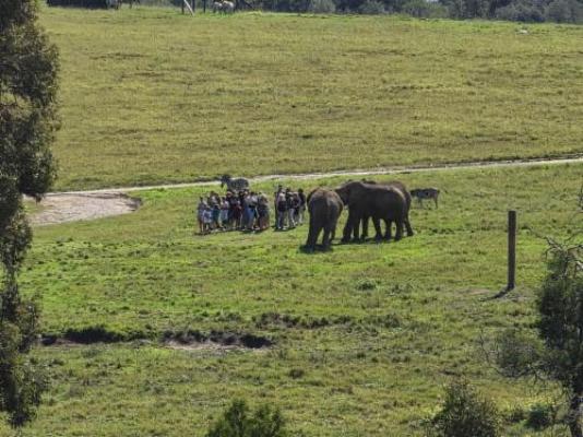 Elephant View Homestead - Neighbourhood