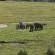 Elephant View Homestead - Neighbourhood