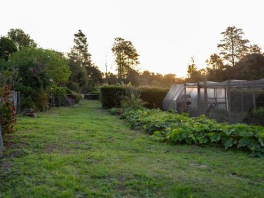 Elephant View Homestead - Garden