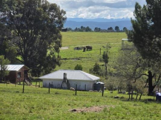 Elephant View Homestead - Property / Building