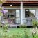 Elephant View Homestead - 266799