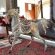 Kimberley Manor Guesthouse - 266917