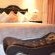 Kimberley Manor Guesthouse - 266921