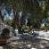 Onse Rus Guest House - Patio