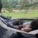 Amakhosi Lodge - 267206