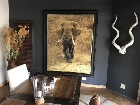 Amakhosi Lodge - 267214