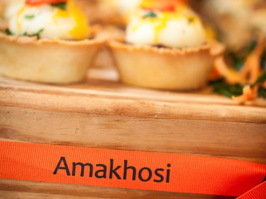 Amakhosi Lodge - 267217
