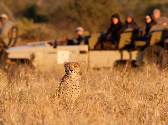 Amakhosi Lodge - 267221