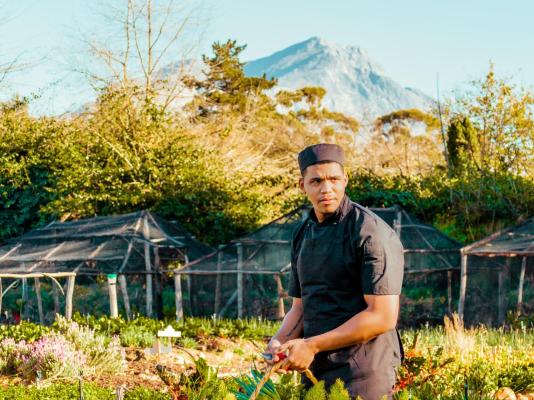 The Tulbagh Boutique Heritage Hotel - 267395