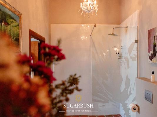 The Tulbagh Boutique Heritage Hotel - 267438