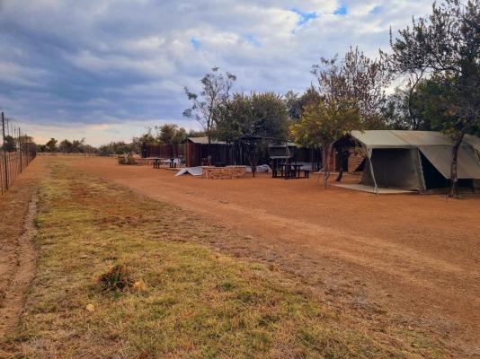 Bushbabies Lodge - 267899