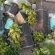 La Rochelle Inn - Property / Building