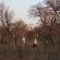 Magari Safari Lodge - Natural landscape