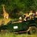 Magari Safari Lodge - Property / Building