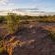 Palala River Cottages - 268346