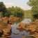Palala River Cottages - 268348