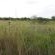 Palala River Cottages - 268356