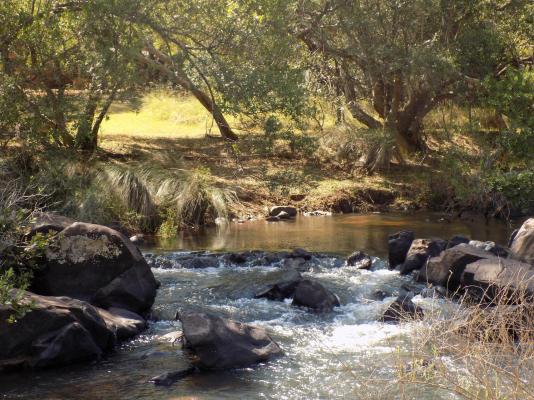 Palala River Cottages - 268357