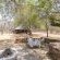 Palala River Cottages - 268367