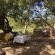 Palala River Cottages - 268371