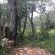 Palala River Cottages - 268372