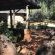 Palala River Cottages - 268380