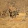 Palala River Cottages - 268407