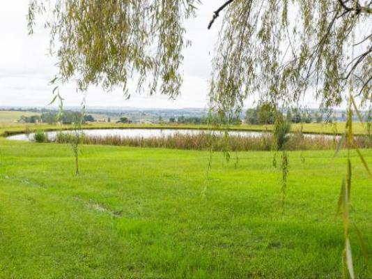 Newcastle Country Lodge - Natural landscape