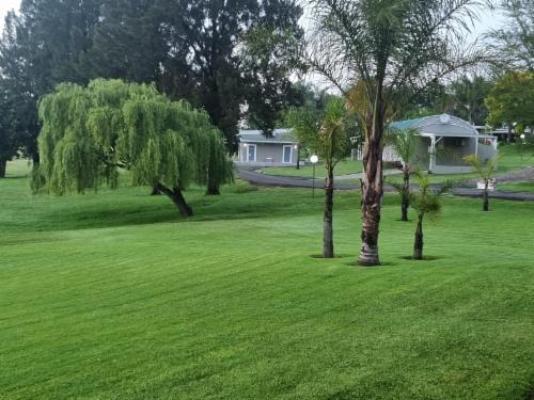 Newcastle Country Lodge - Garden