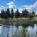 Newcastle Country Lodge - Natural landscape