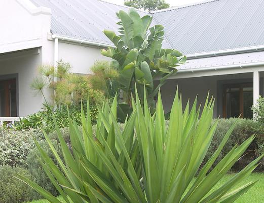 Swellendam Country Lodge