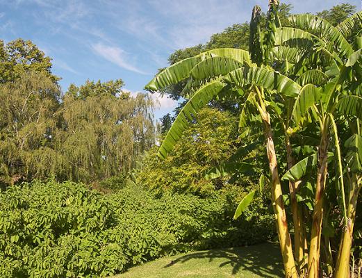 Swellendam Country Lodge