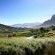 Alluvia Specialist Winery & Guesthouse Alluvia Specialist Winery & Guesthouse