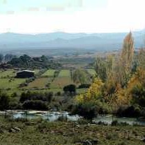 Damesfontein