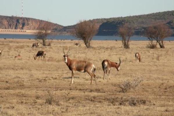 Camdeboo National Park