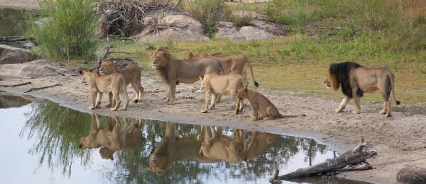 Karongwe Game Reserve