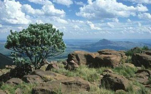 Waterberg Biosphere Reserve